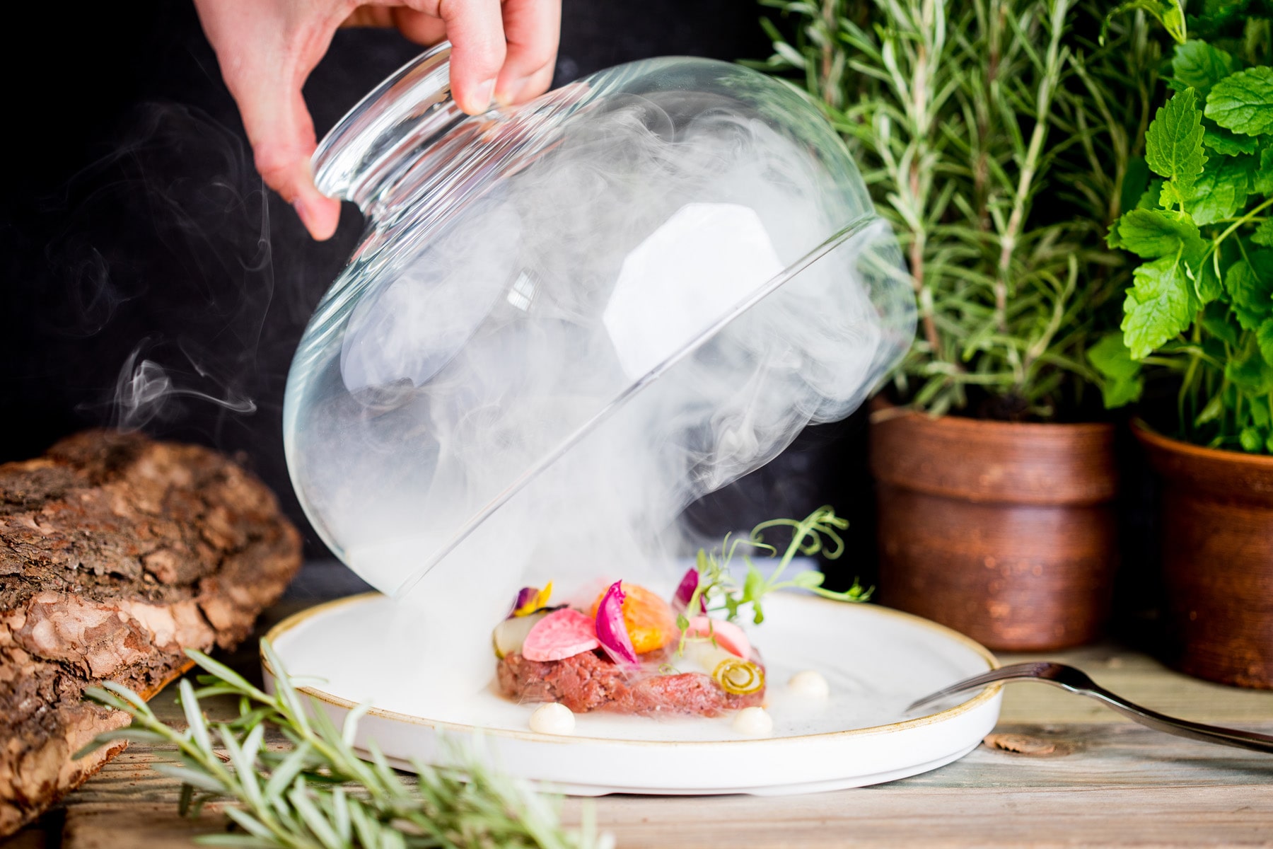 Hotele Diament - Kaktusy Kato koncept Kulinarny